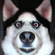 Profile Picture of Bob Barton (@bobbarton9303) on Youtube