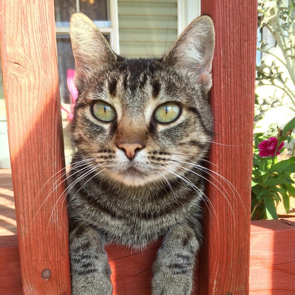 Profile Picture of Steve Davey (@stevedavey) on Poshmark