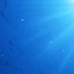 Profile Picture of Kim_Raynor (@kim_raynorv) on Instagram