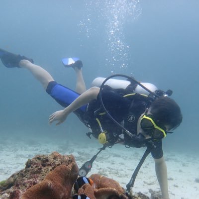 Profile Picture of Ivan Sun (@ivansun17) on Twitter