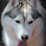 Profile Picture of Gene Smith (@gsmith7743) on Instagram