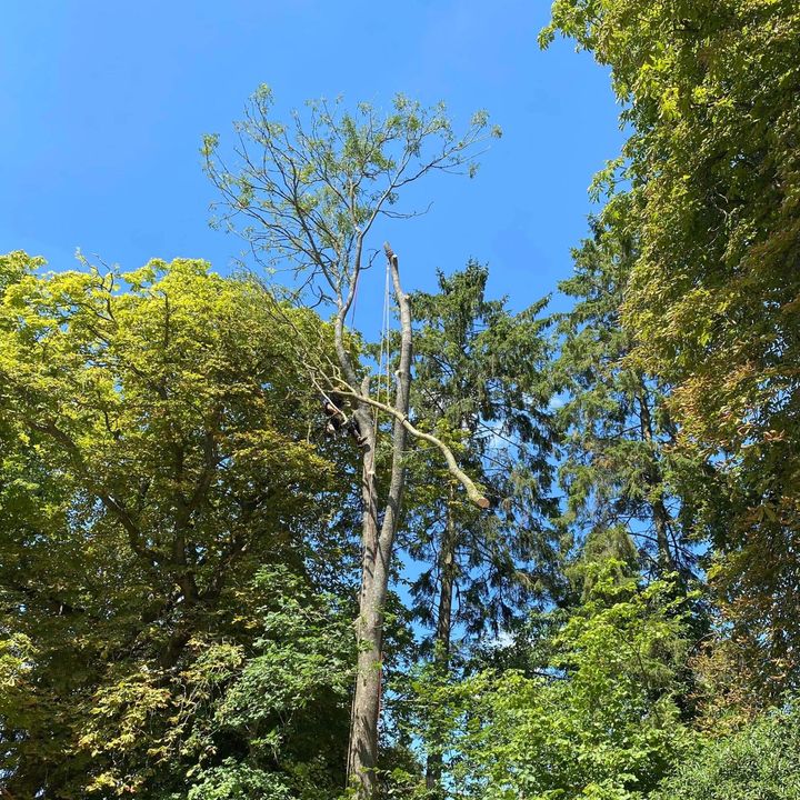 Profile Picture of Joshua Medland (@medlandgroup) on Tiktok