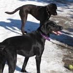 Profile Picture of Patrick Cole (@patrick7467) on Instagram