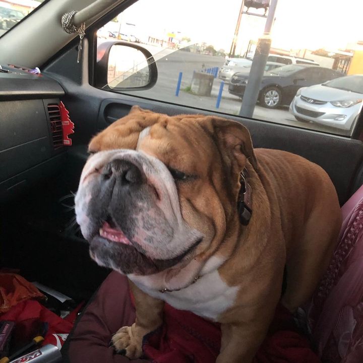 Profile Picture of David Brower (@@brower4381) on Tiktok