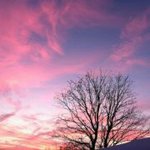 Profile Picture of Scott Elkins (@scottyelk) on Instagram