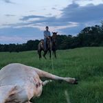 Profile Picture of Josh Chadwick (@chadwick_josh) on Instagram