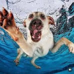 Profile Picture of Mark J Perry (@mark.j.perry.570637) on Facebook