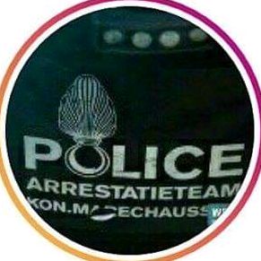 Profile Picture of Arrestatieteam NL (@arrestatieteamnl) on Tiktok