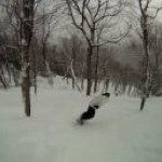 Profile Picture of Michael Hussar (@mikehussar) on Instagram