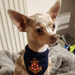 Profile Picture of Alexander-Kevin Korte (@kortealexanderkevin) on Instagram