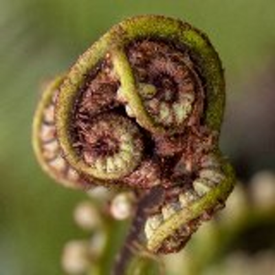 Profile Picture of Baxter Williamson Twitter