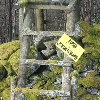 Profile Picture of John Paul Gossage (@JohnPaulGossag2) on Twitter