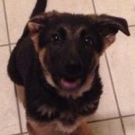 Profile Picture of 😄JUSTIN😜🏆 (@justin_colton811534) on Instagram