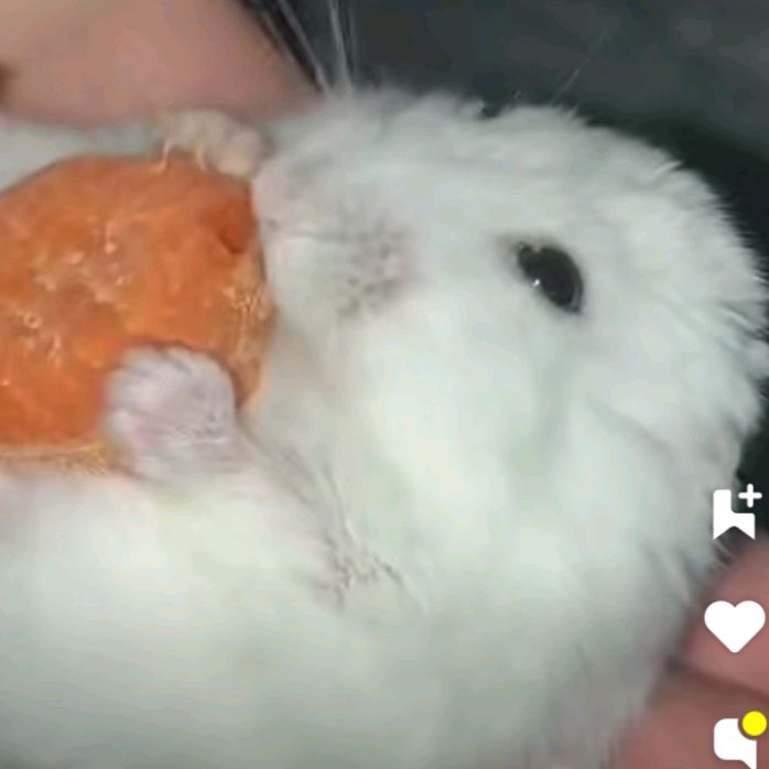 Profile Picture of tyler_jack (@tyler_jack8) on Tiktok