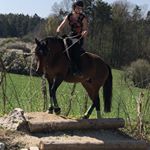 Profile Picture of Julia & Tiana (@tiana_und_julia) on Instagram