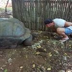 Profile Picture of Luca Alessandro Bracci (@bla87pt) on Instagram