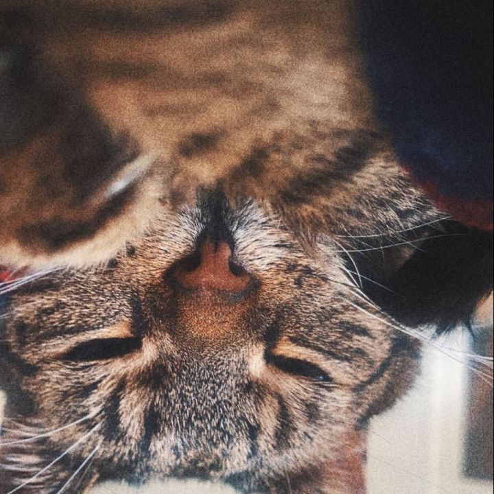 Profile Picture of Nix machen (@lisa._.macht._.nix) on Tiktok