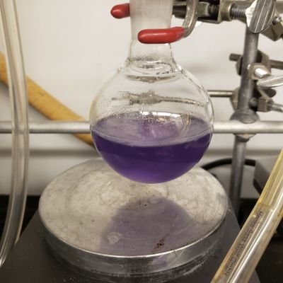 Profile Picture of Matthew S. Galliher (@MSGlutaMatt) on Twitter