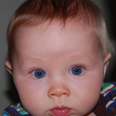 Profile Picture of Dan Weinheimer (@danwein) on Twitter