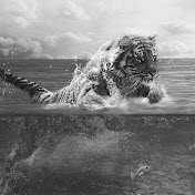 Profile Picture of Gilbert Acevedo (@thegillzmaster) on Youtube