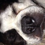 Profile Picture of Jacob Schauermann (@jacob_schauermann) on Instagram