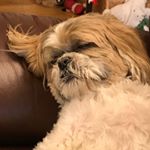 Profile Picture of Celia Jarvis (@jarvis_celia) on Instagram