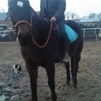 Profile Picture of Andy Köppen (@@AndyKoppen) on Twitter