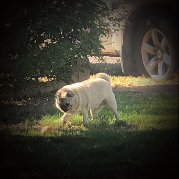 Profile Picture of James Dora (@jdora09) on Poshmark