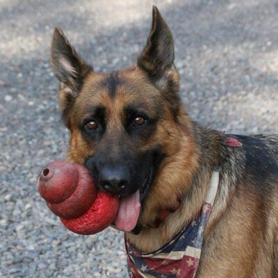 Profile Picture of Scott Rubel (@ScottRubel79) on Twitter