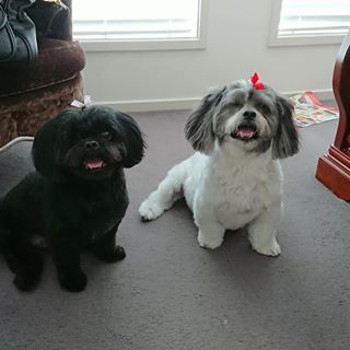 Profile Picture of Janette Cain (@janette.cain1) on Facebook