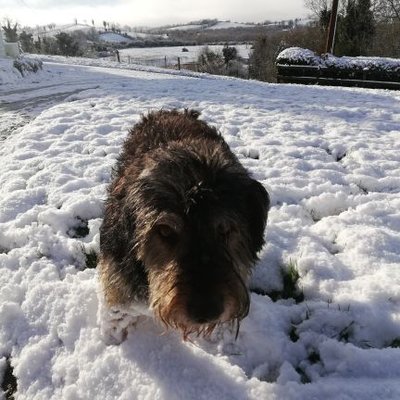 Profile Picture of Ann McClean (@AnnMcClean1) on Twitter