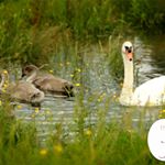 Profile Picture of Paul Moreton (@insidesuffolk) on Instagram