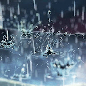 Profile Picture of Sean Whiteman (@seanwhiteman9007) on Youtube