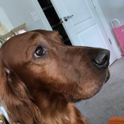 Nancysiegal - Twitter Profile Picture of Nancysiegal (@prettysherry) on Twitter