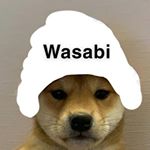 Profile Picture of Matt Beyer (@rl_wasabi) on Instagram