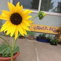 Profile Picture of Grace Dowling (@grace-dowling-4) on Quora