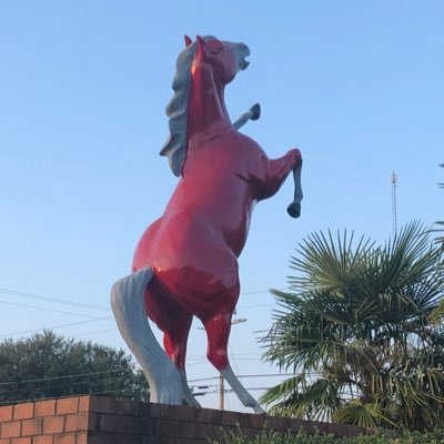 Profile Picture of Robby Roach (@rr_87mustang) on Twitter