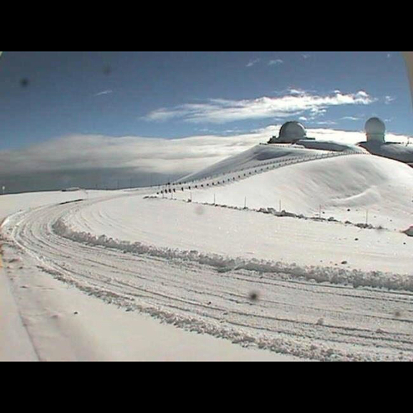 Profile Picture of Rochelle Ploski (@rploski) on Poshmark