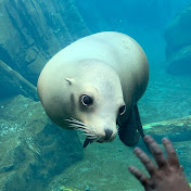 Profile Picture of Shawna Hoffman (@shawnadoo) on Youtube