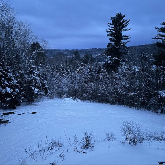 Michael Mormile - Poshmark Profile Picture of Michael Mormile (@mammormile) on Poshmark