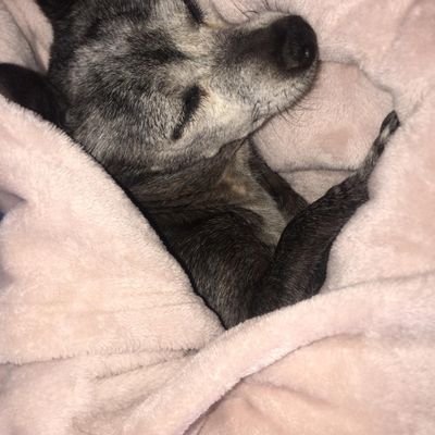 Profile Picture of Mario Calleros (@mariocalleros2) on Twitter