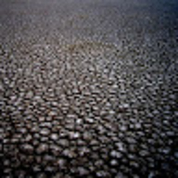 Alex Neerman - Poshmark Profile Picture of Alex Neerman (@apartmentfox) on Poshmark