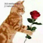 Profile Picture of prisciliano    hernandez (@marlene__quinto) on Instagram