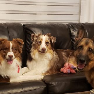 Profile Picture of Justine TabiszTucci (@justine.tabisz) on Facebook