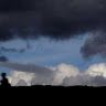 Profile Picture of Jan Bielawski (@bielawski2121) on Pinterest