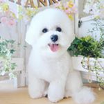 Profile Picture of Andrew leslie (@andrew02394) on Instagram