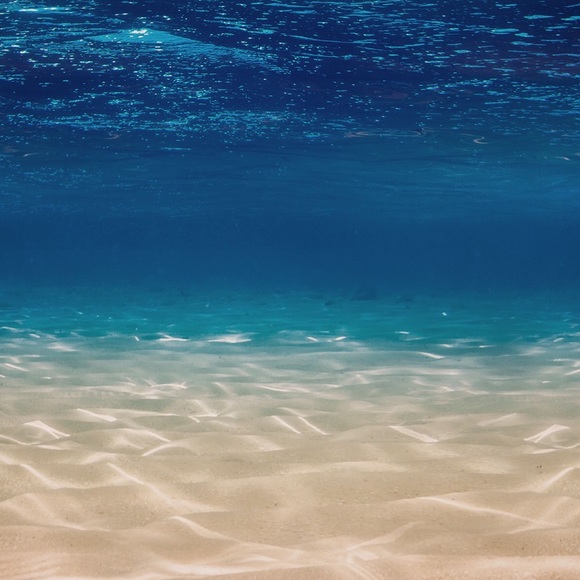 Aaron Rocklin - Poshmark Profile Picture of Aaron Rocklin (@arocklin17) on Poshmark