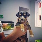 Profile Picture of Joseph Miracle (@joseph_.miracle) on Instagram