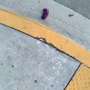 Profile Picture of Sean William Diebold (@SeanWilliamDi19) on Twitter