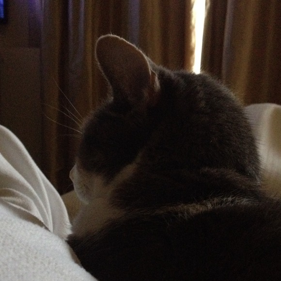 Profile Picture of Lisa Dodd (@whitmerdodd) on Poshmark